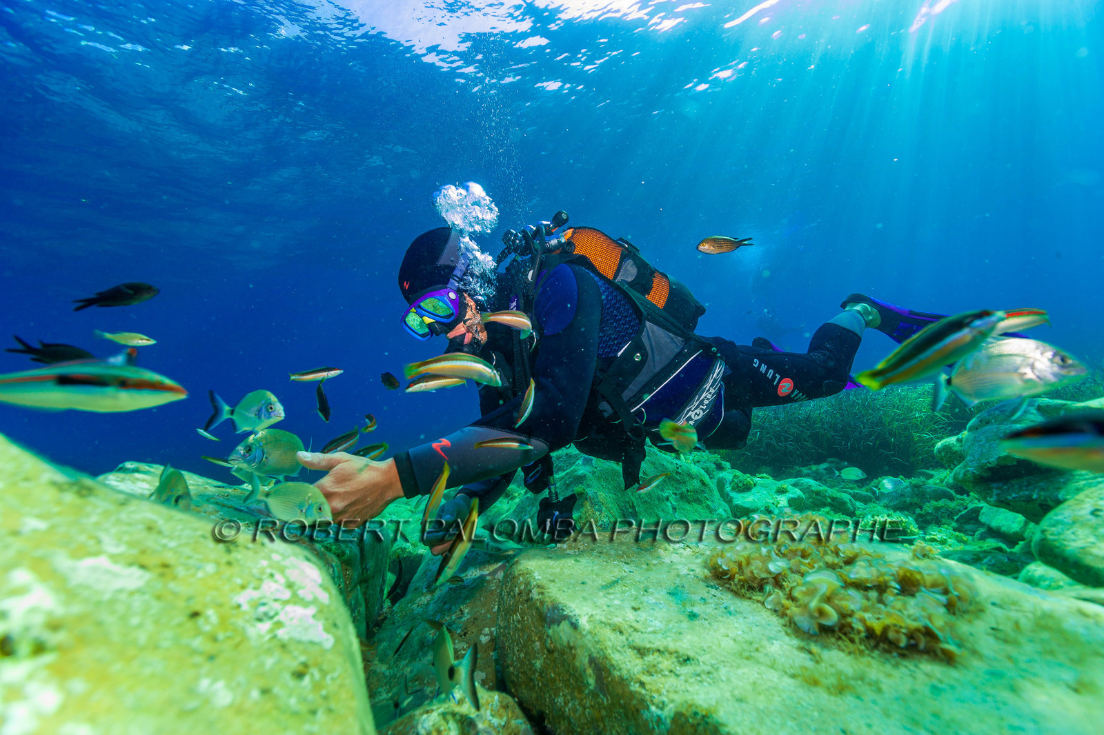 Plongée-sous-marine