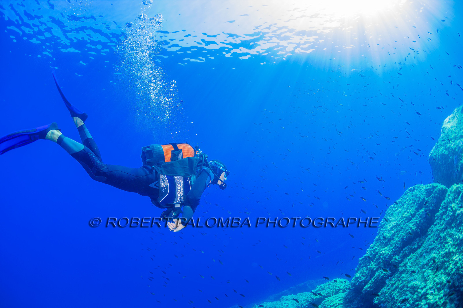 Plongée-sous-marine