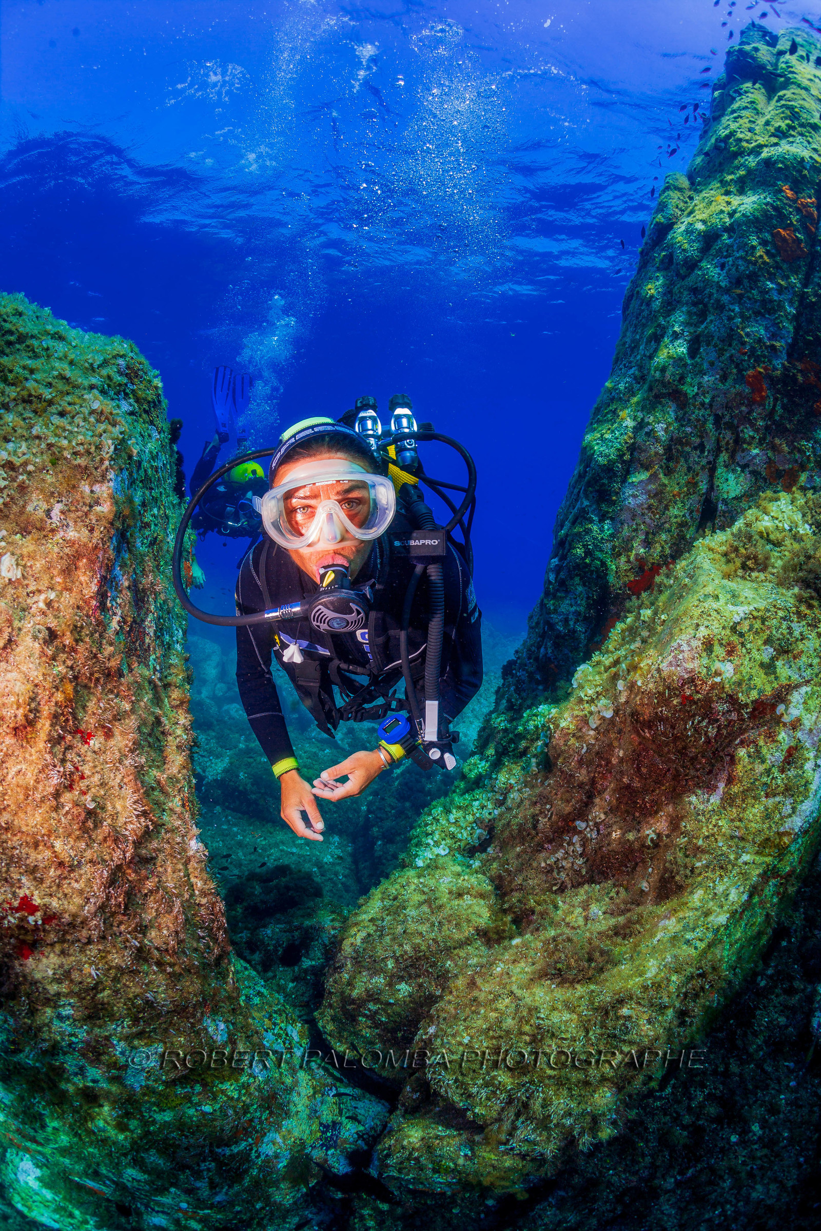 Plongée-sous-marine