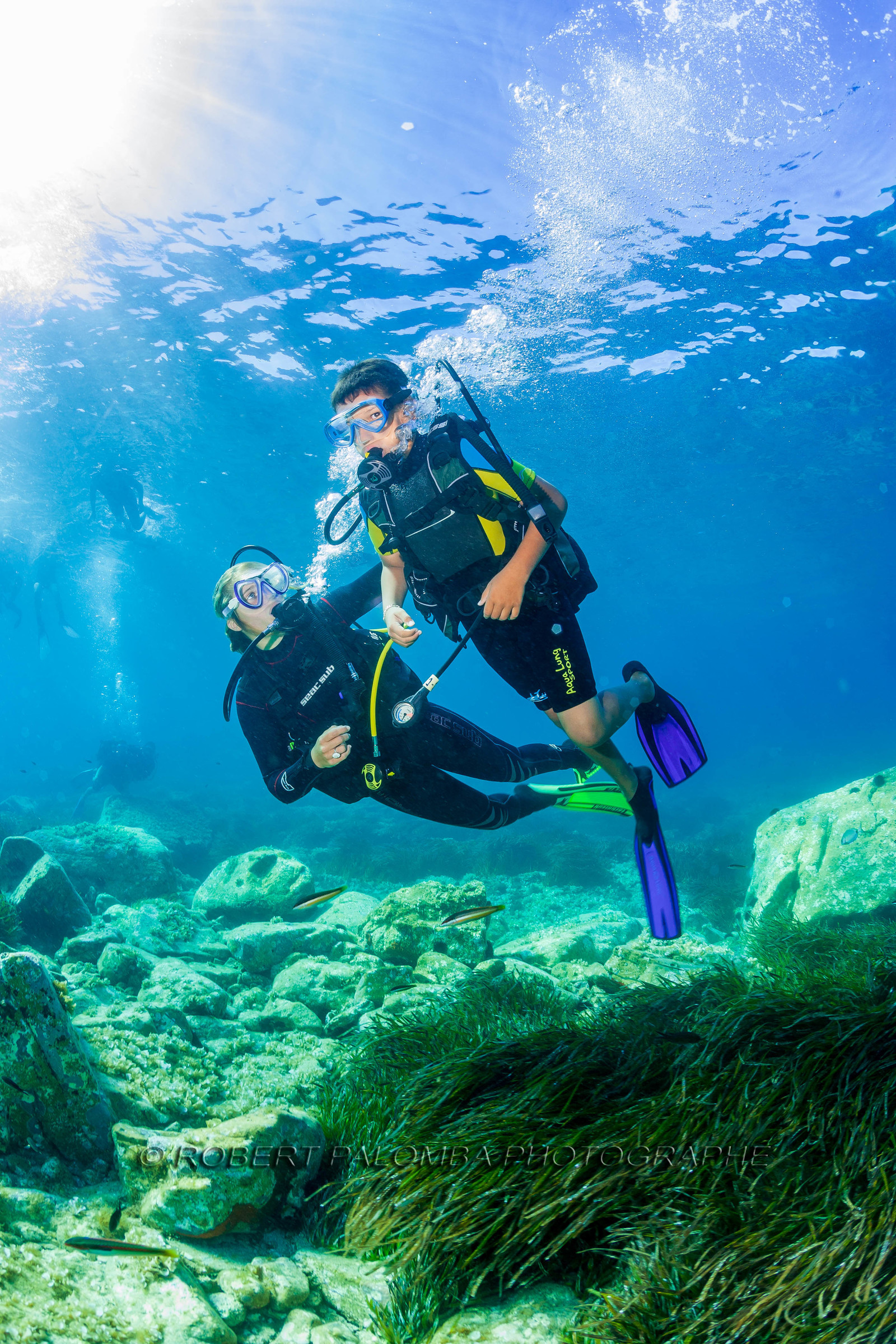 Plongée-sous-marine