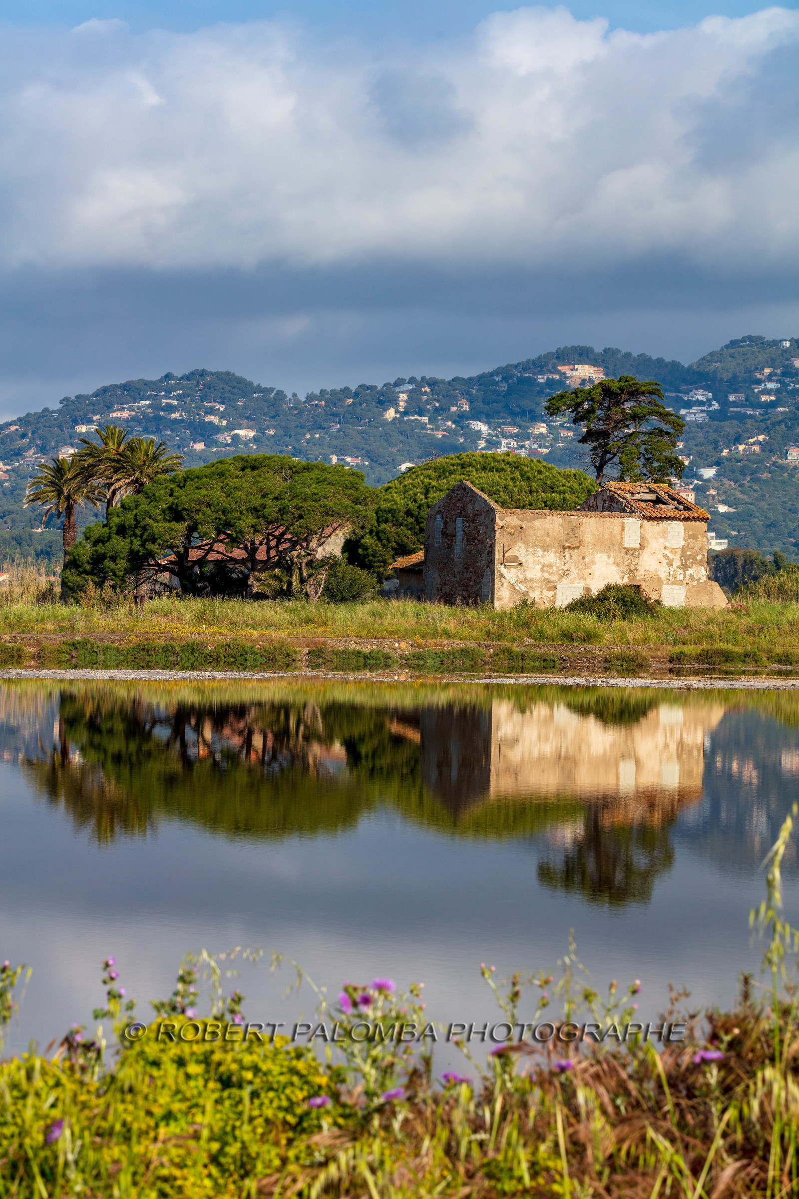 Salins d'Hyères