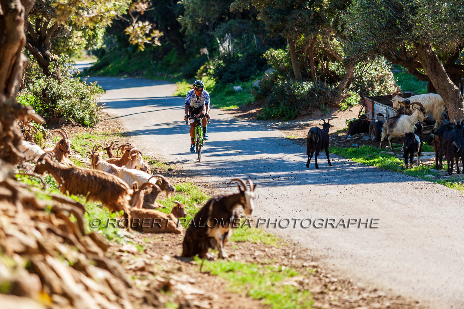 Bikingman Corsica 2019