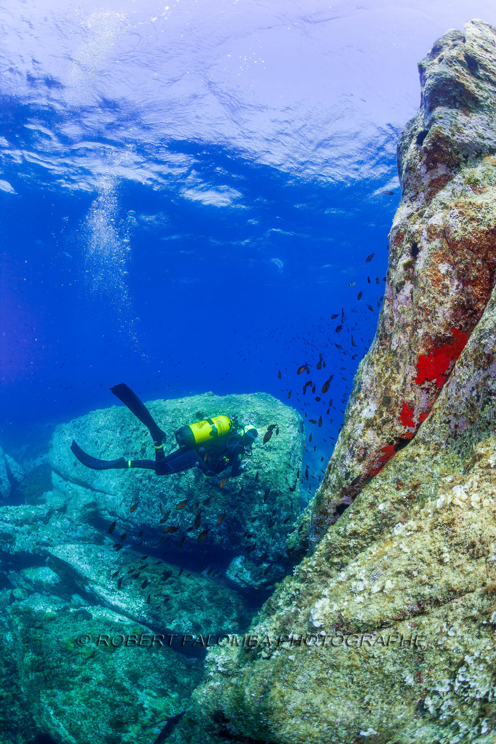 Plongée-sous-marine