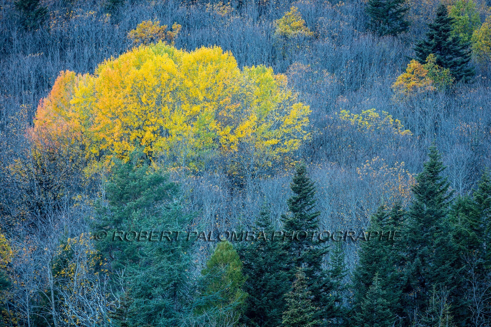 Granges de la Brasque