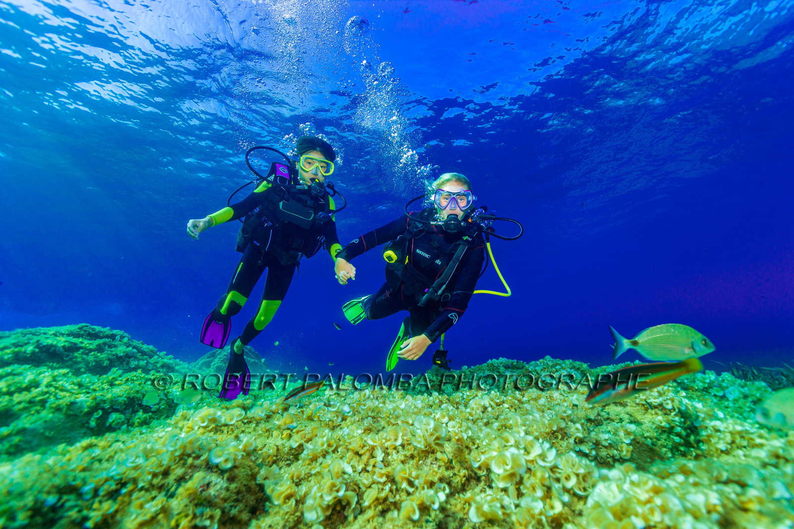 Plongée-sous-marine