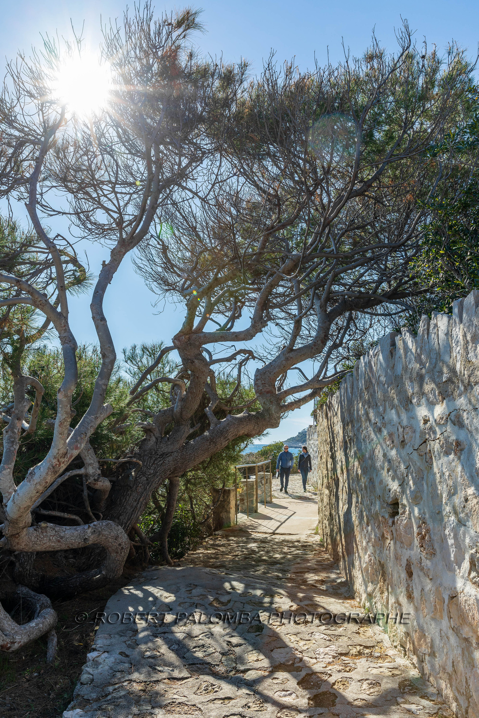 Saint-Jean-Cap-Ferrat