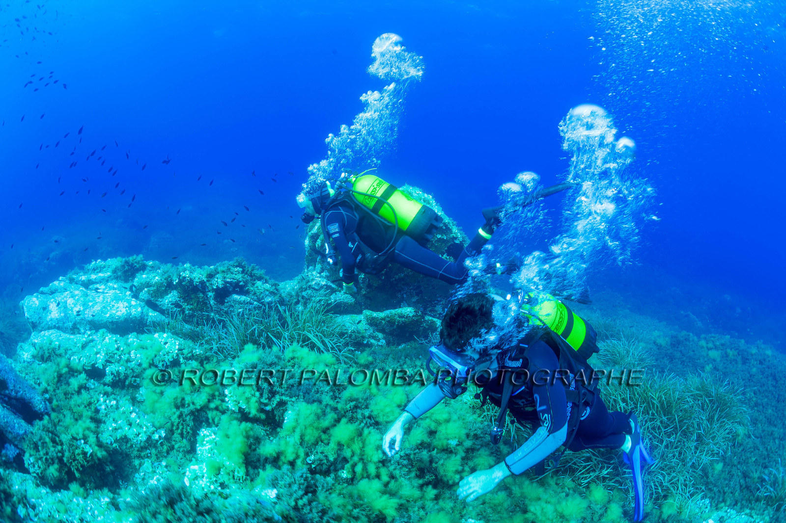 Plongée-sous-marine