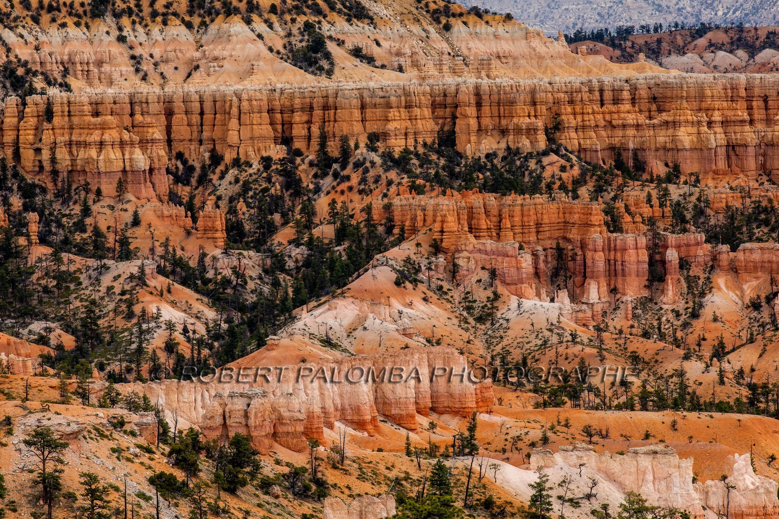 Bryce Canyon