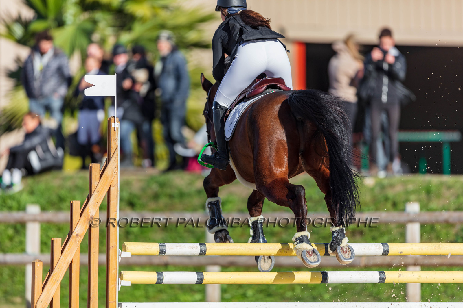 Equitation