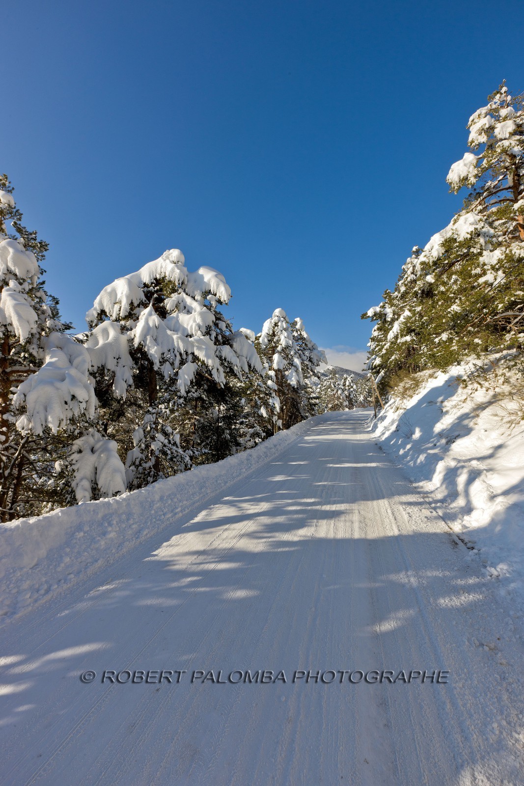 Route enneigée