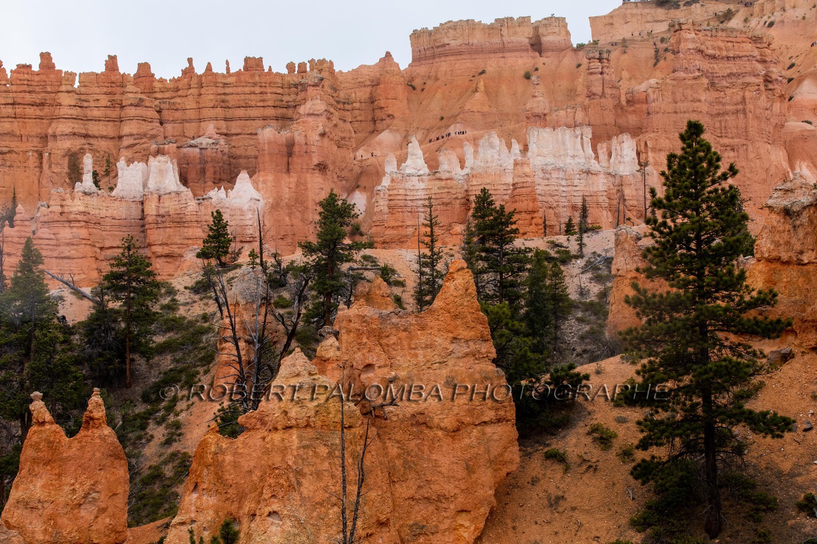Bryce Canyon