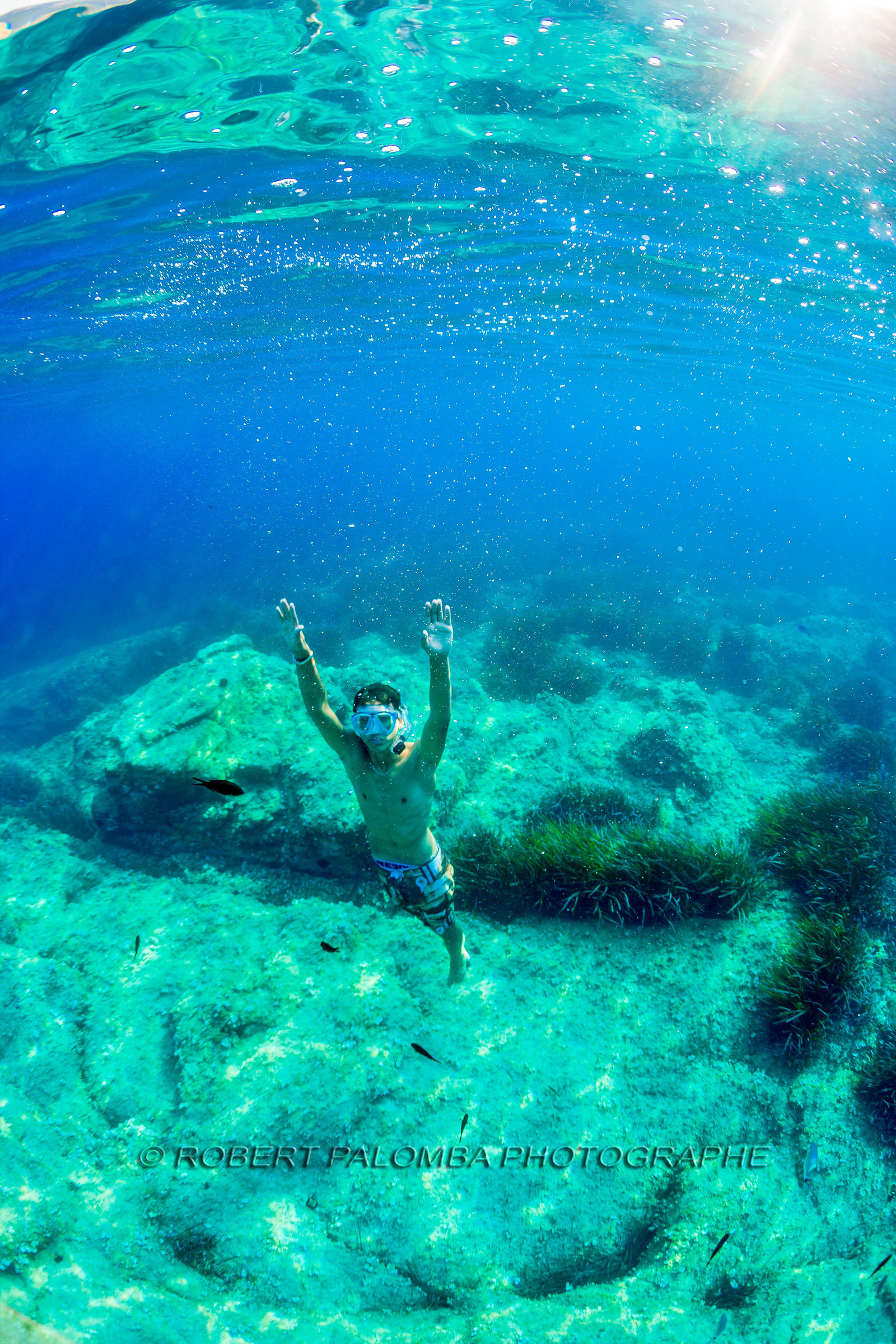 Plongée-sous-marine