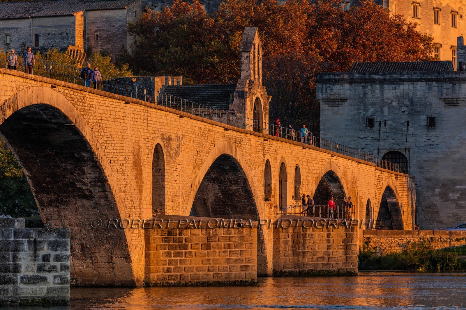 Avignon