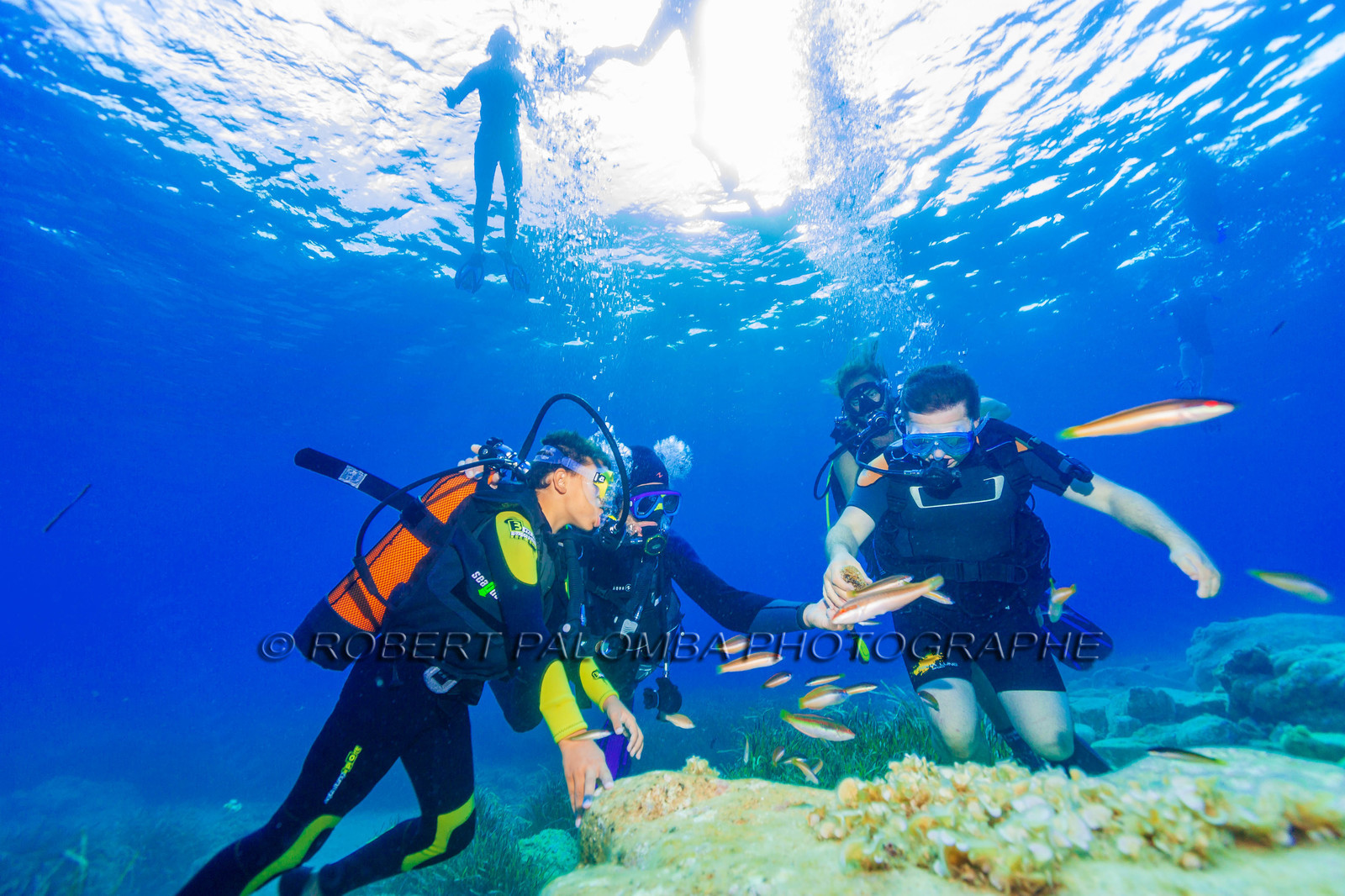 Plongée-sous-marine