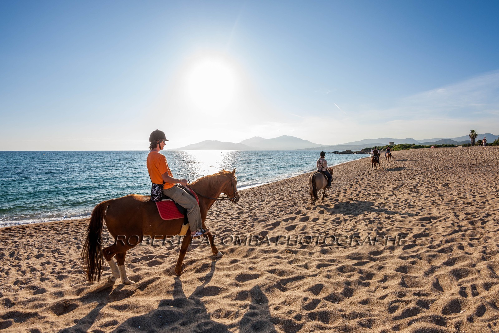 Cheval sur la plage de Porticcio