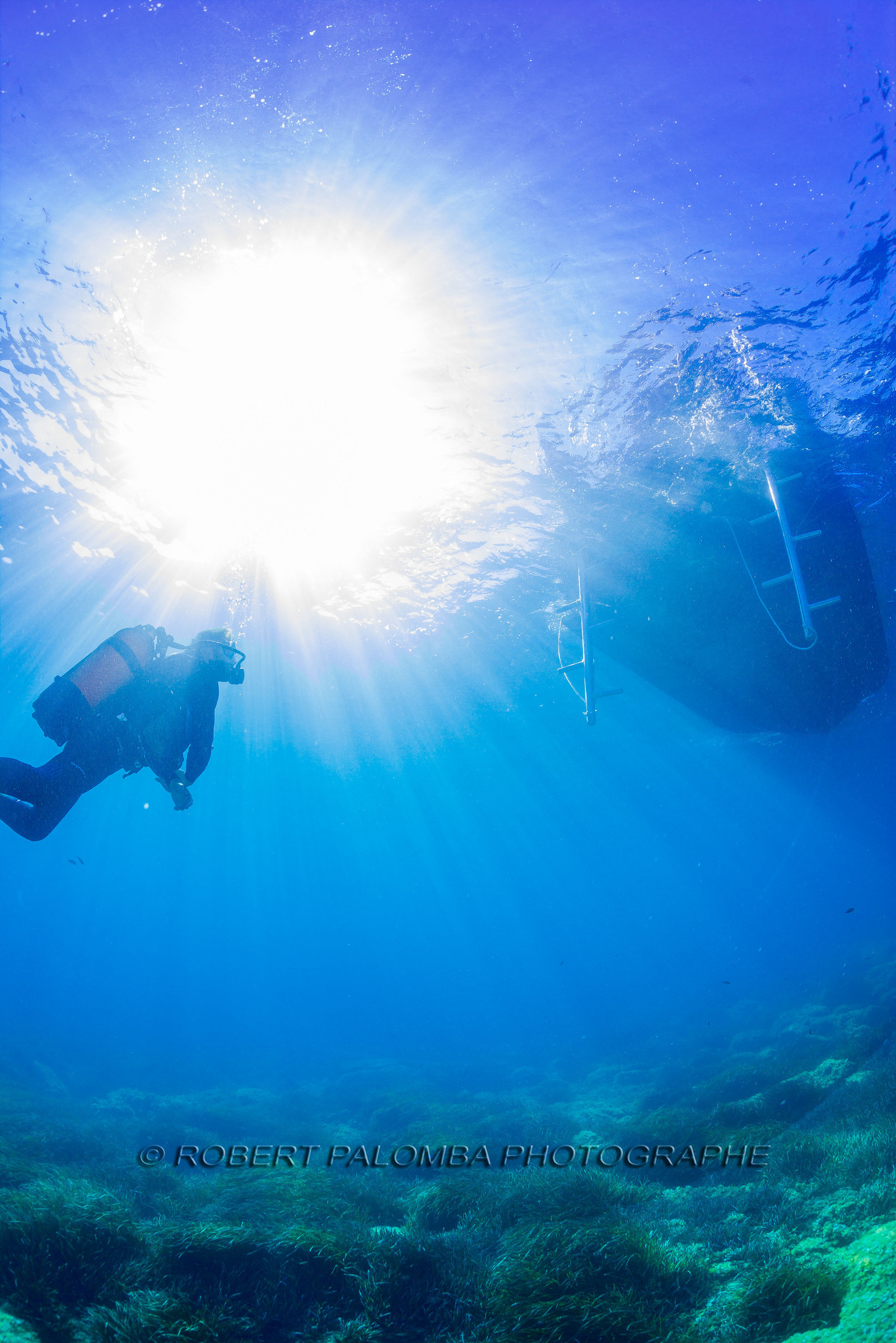Plongée-sous-marine