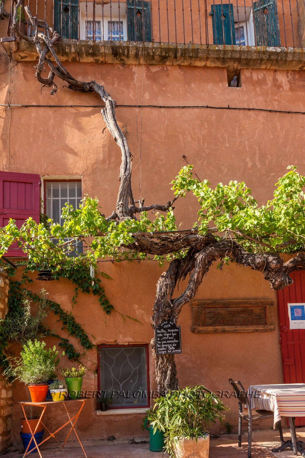 Roussillon