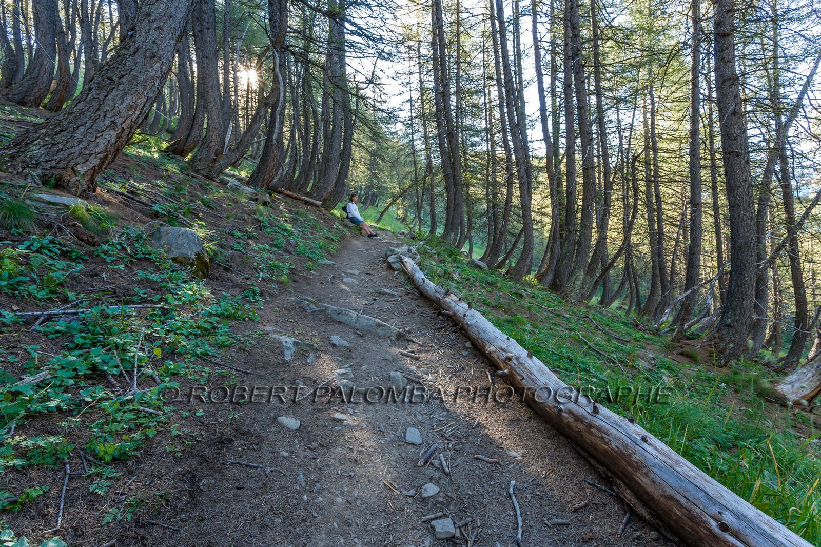 Col de la Petite Cayolle