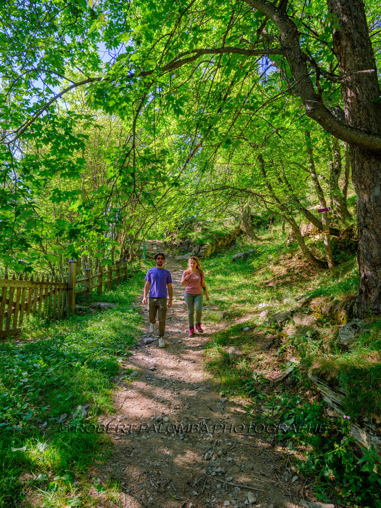 Rando Lac des Grenouilles