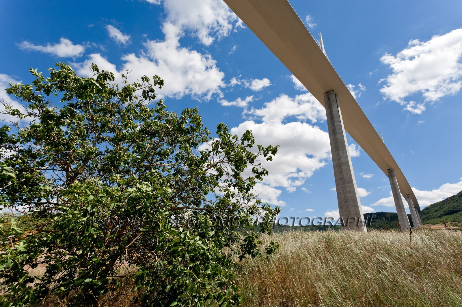 Viaduc de Millau