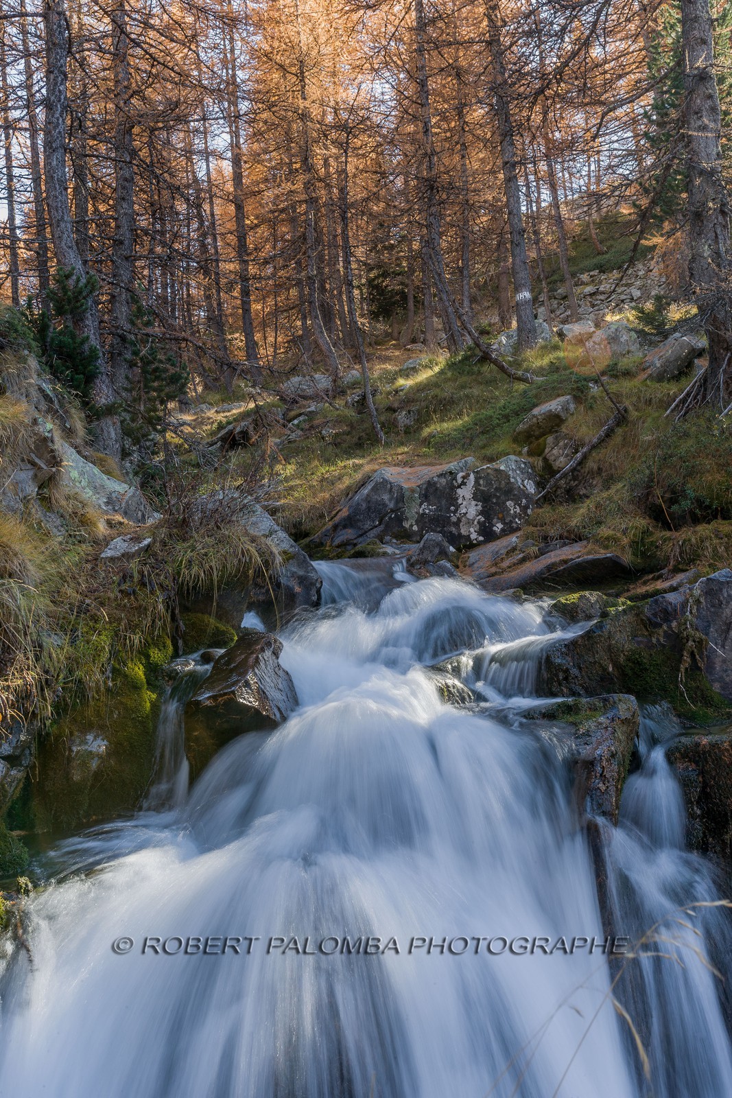 Lac d'Allos