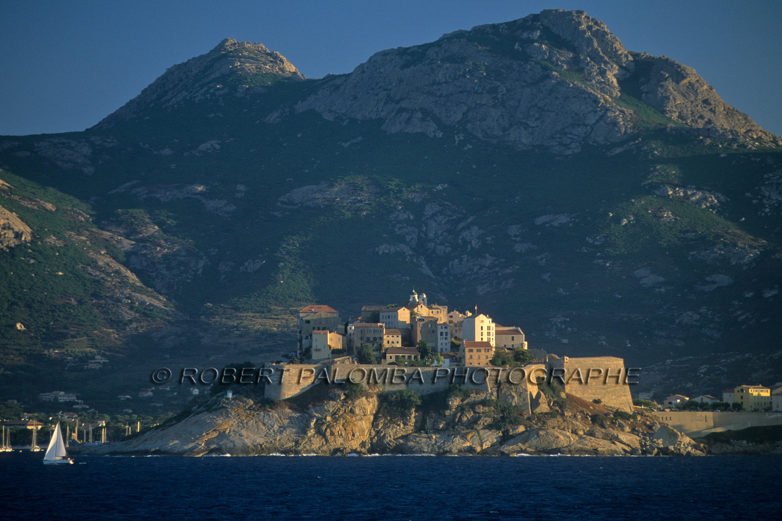 Calvi