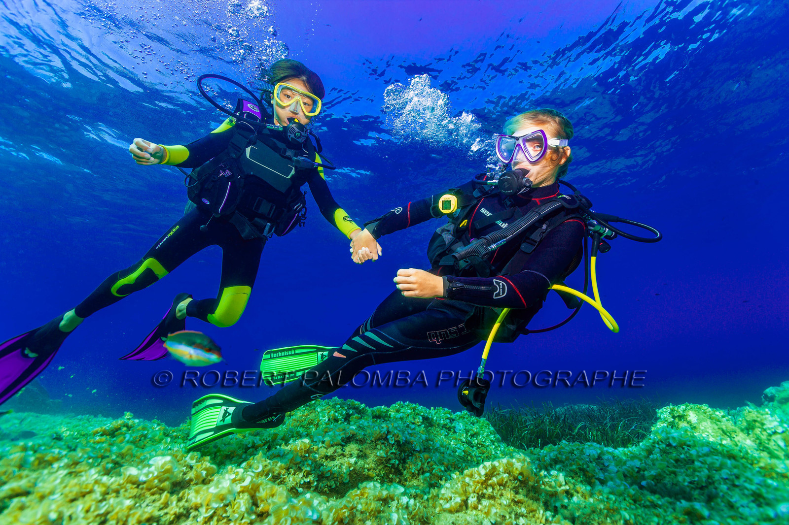 Plongée-sous-marine