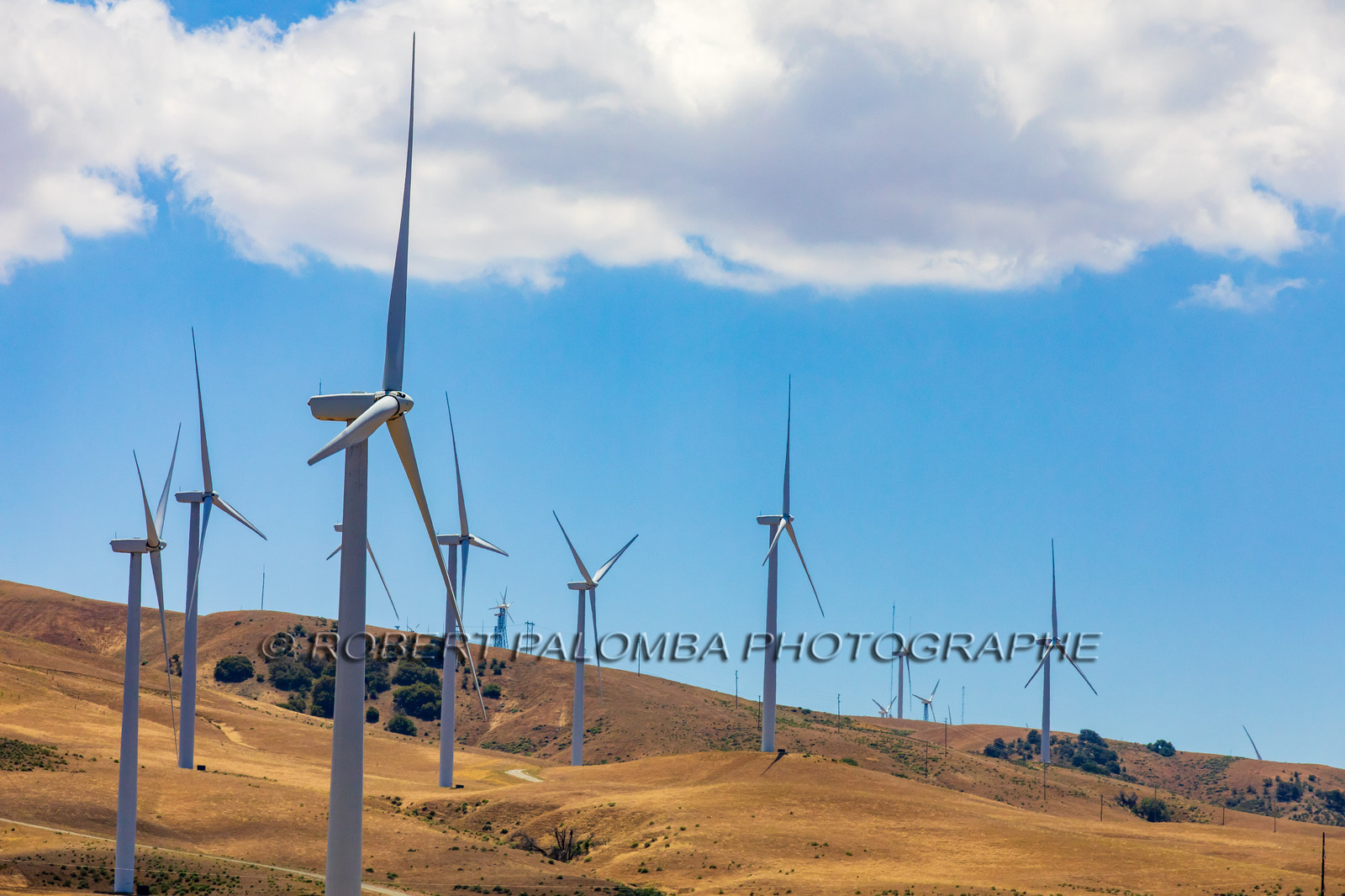 Champ d'Eoliennes
