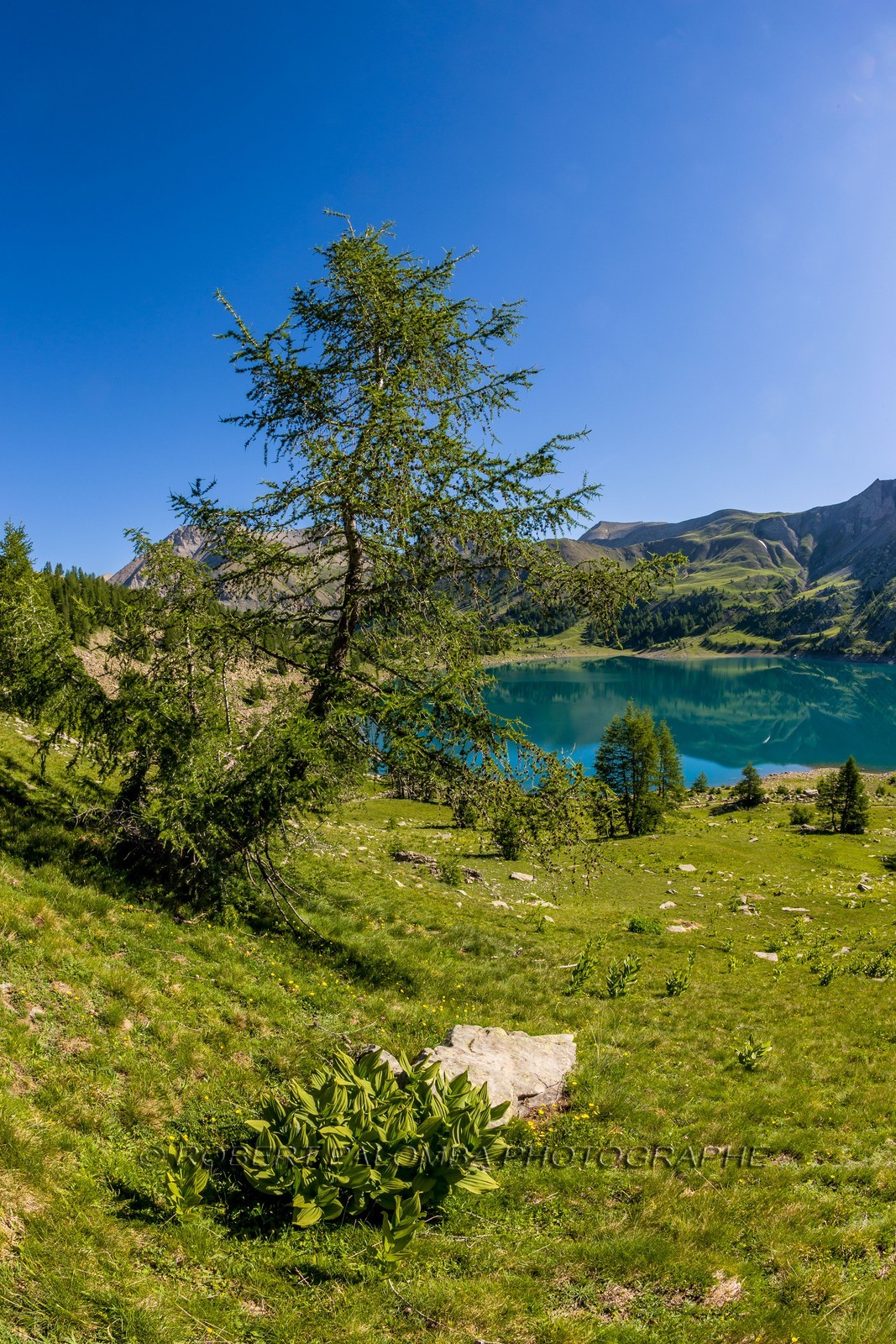 Lac d'Allos