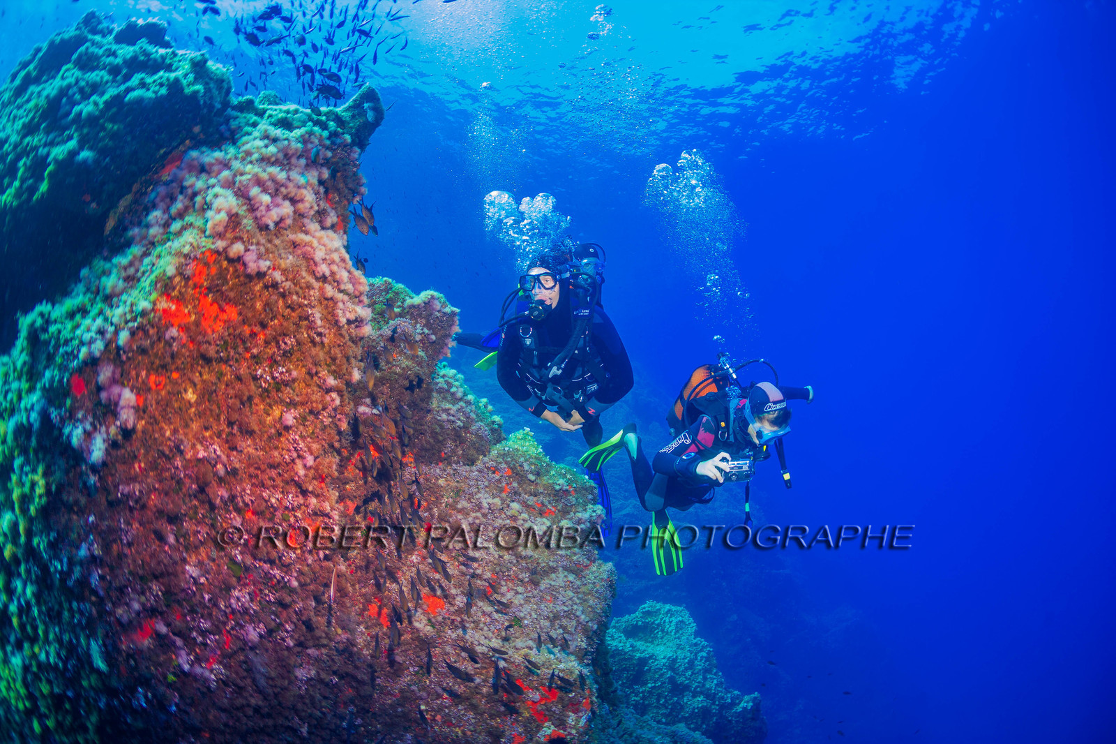 Plongée-sous-marine