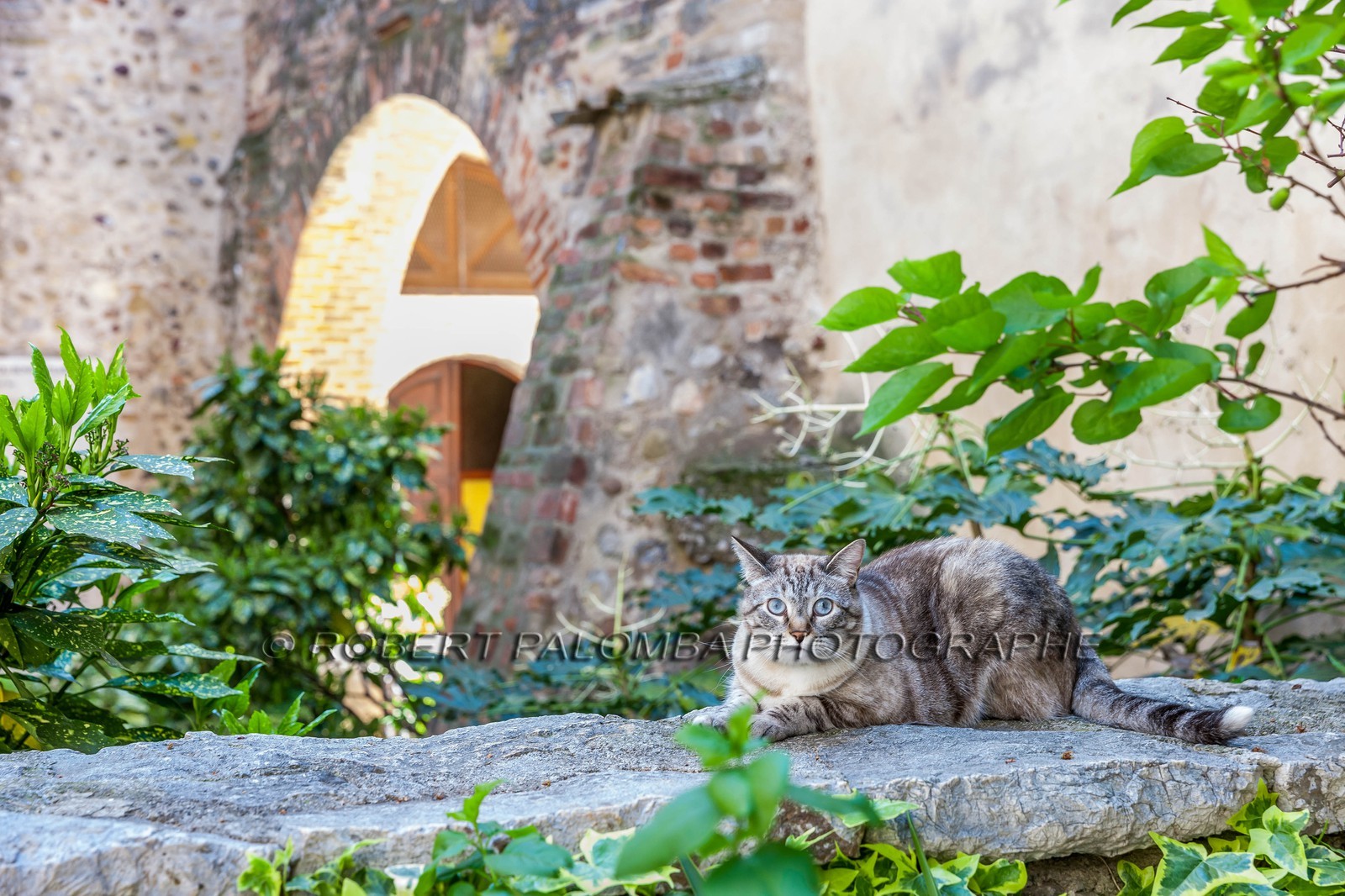 Saint-Laurent-du-Var