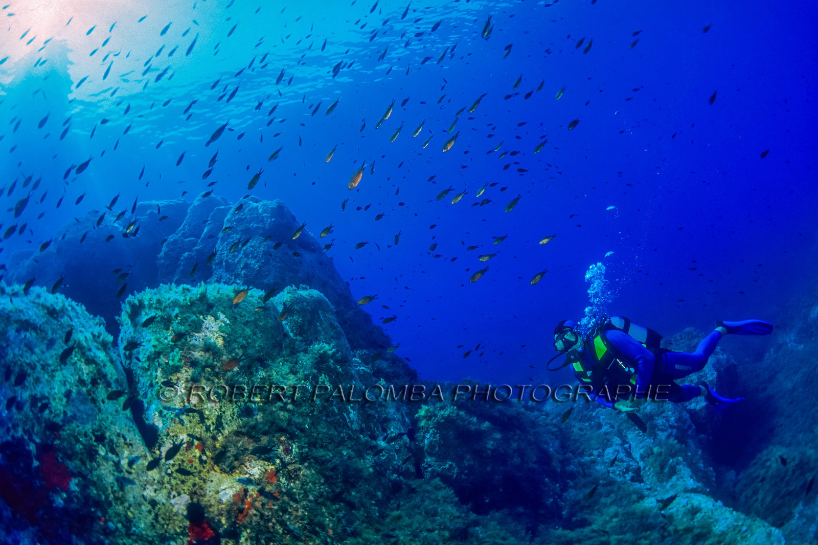 Plongée sous-marine