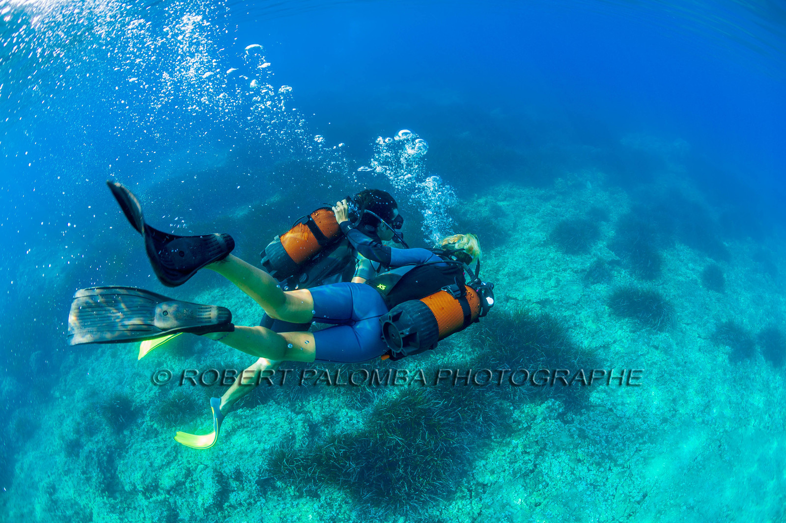 Plongée-sous-marine