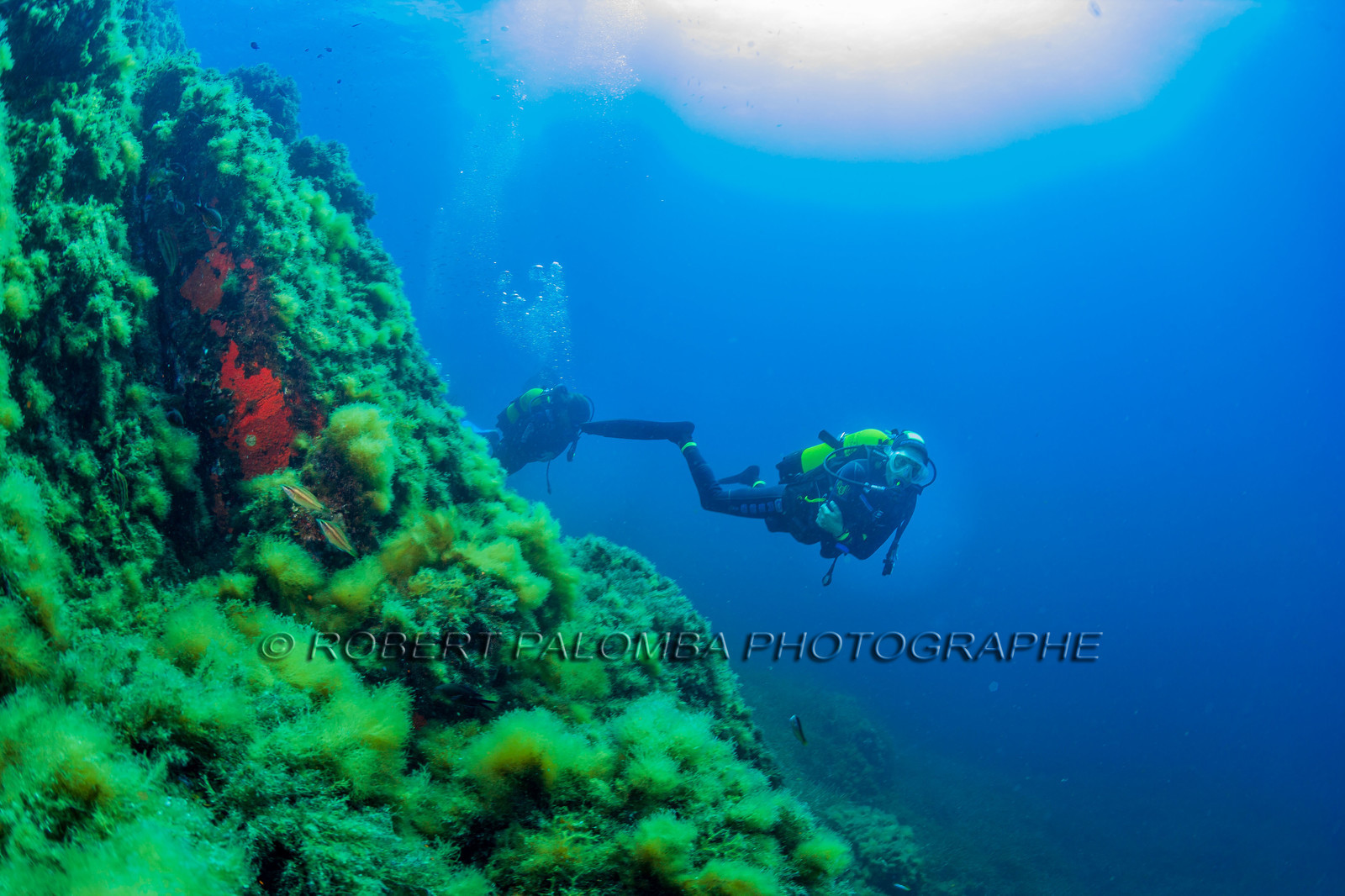 Plongée-sous-marine