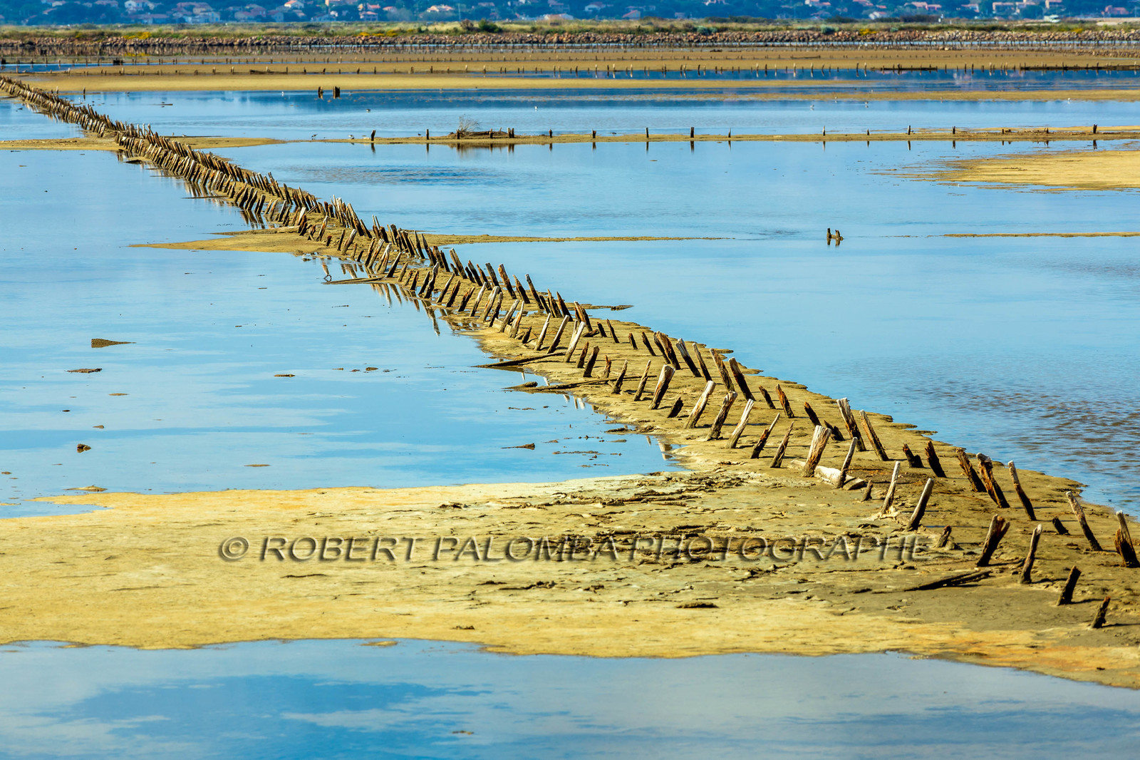 Salins d'Hyères
