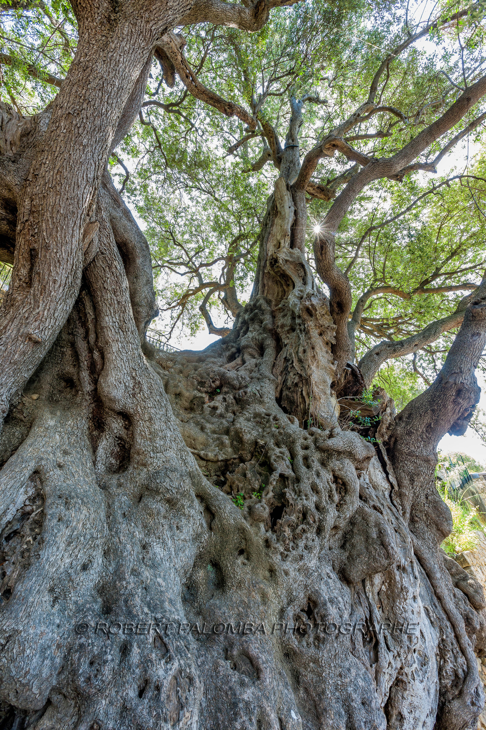 Roquebrune-Cap-Martin