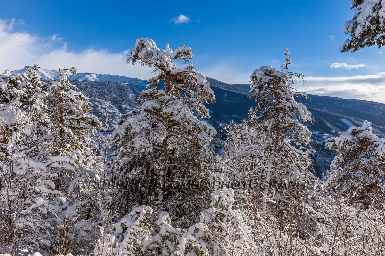 La Colle-Saint-Michel