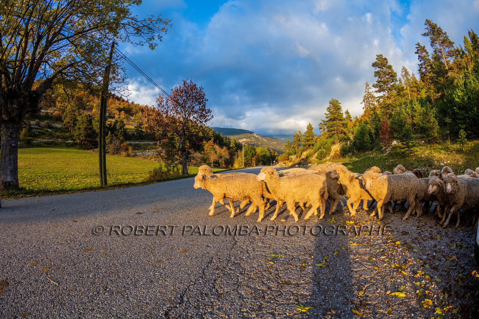 La Colle Saint-Michel