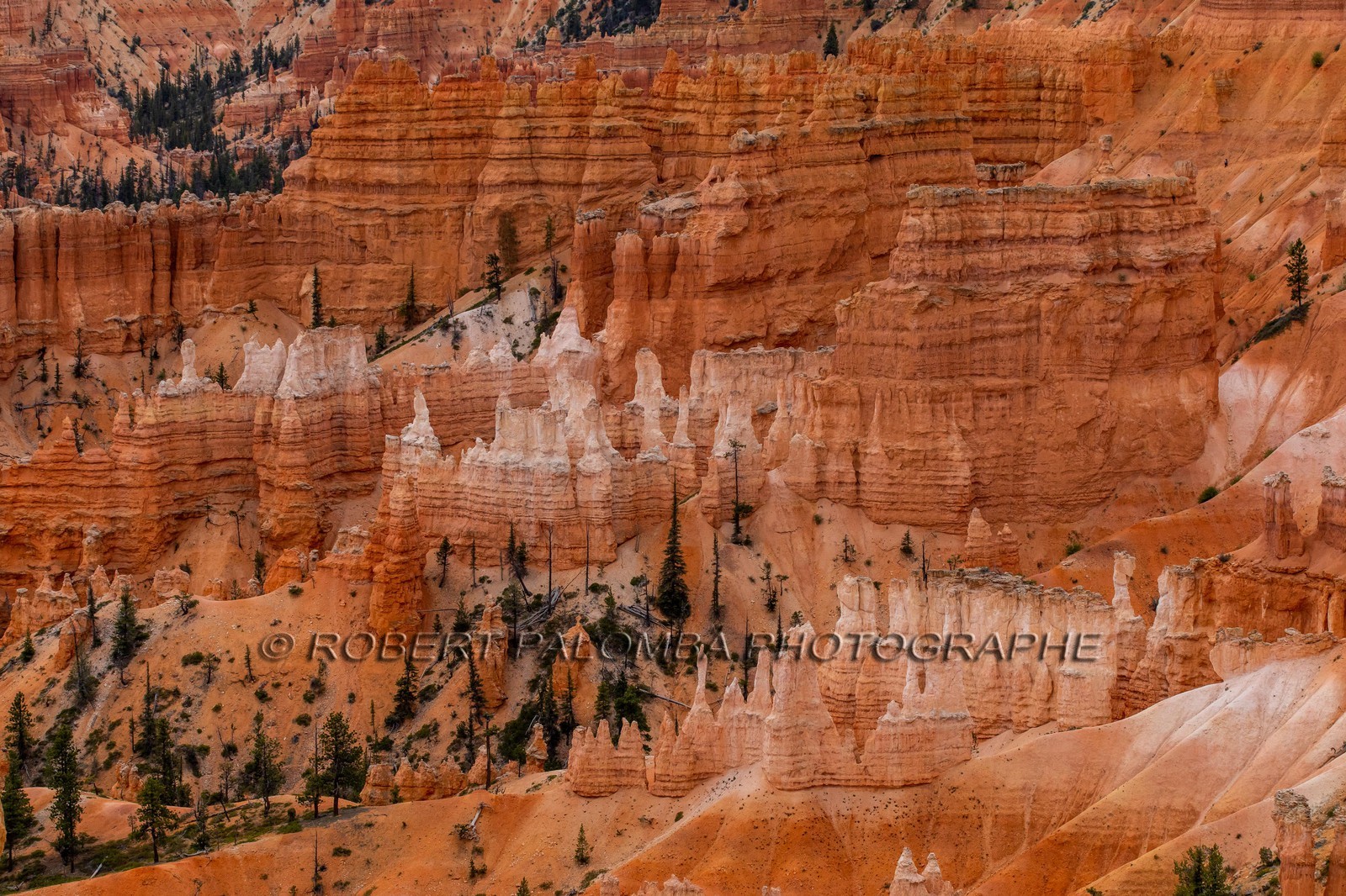Bryce Canyon