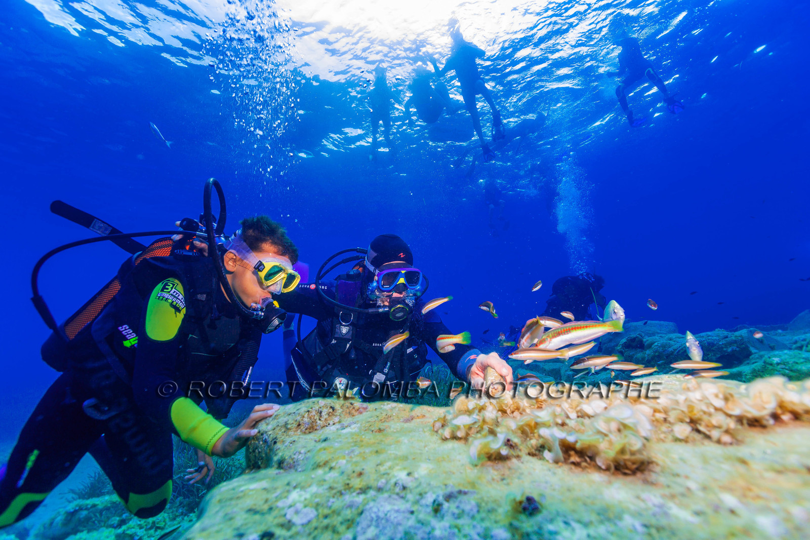 Plongée-sous-marine