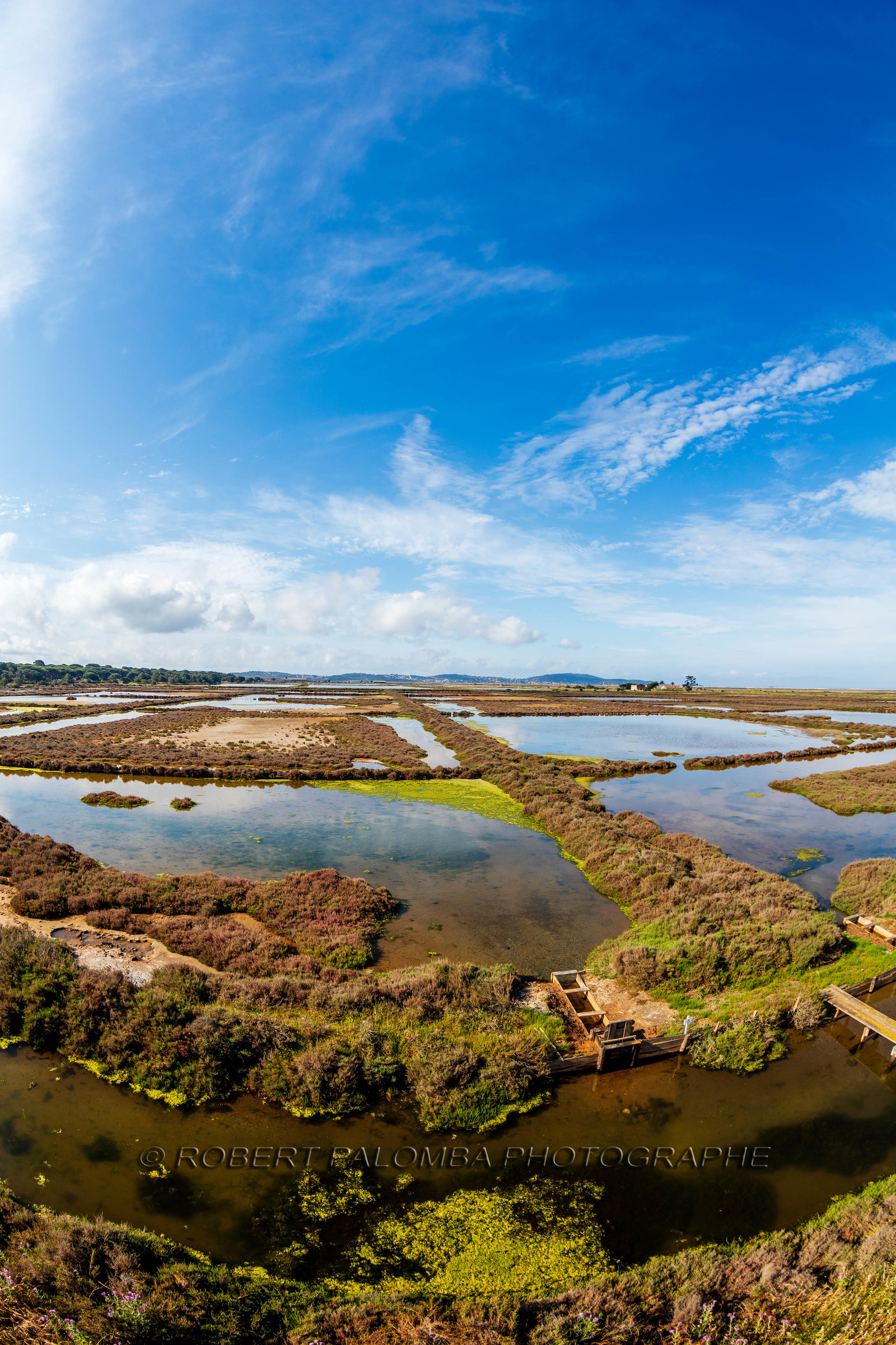 Salins d'Hyères