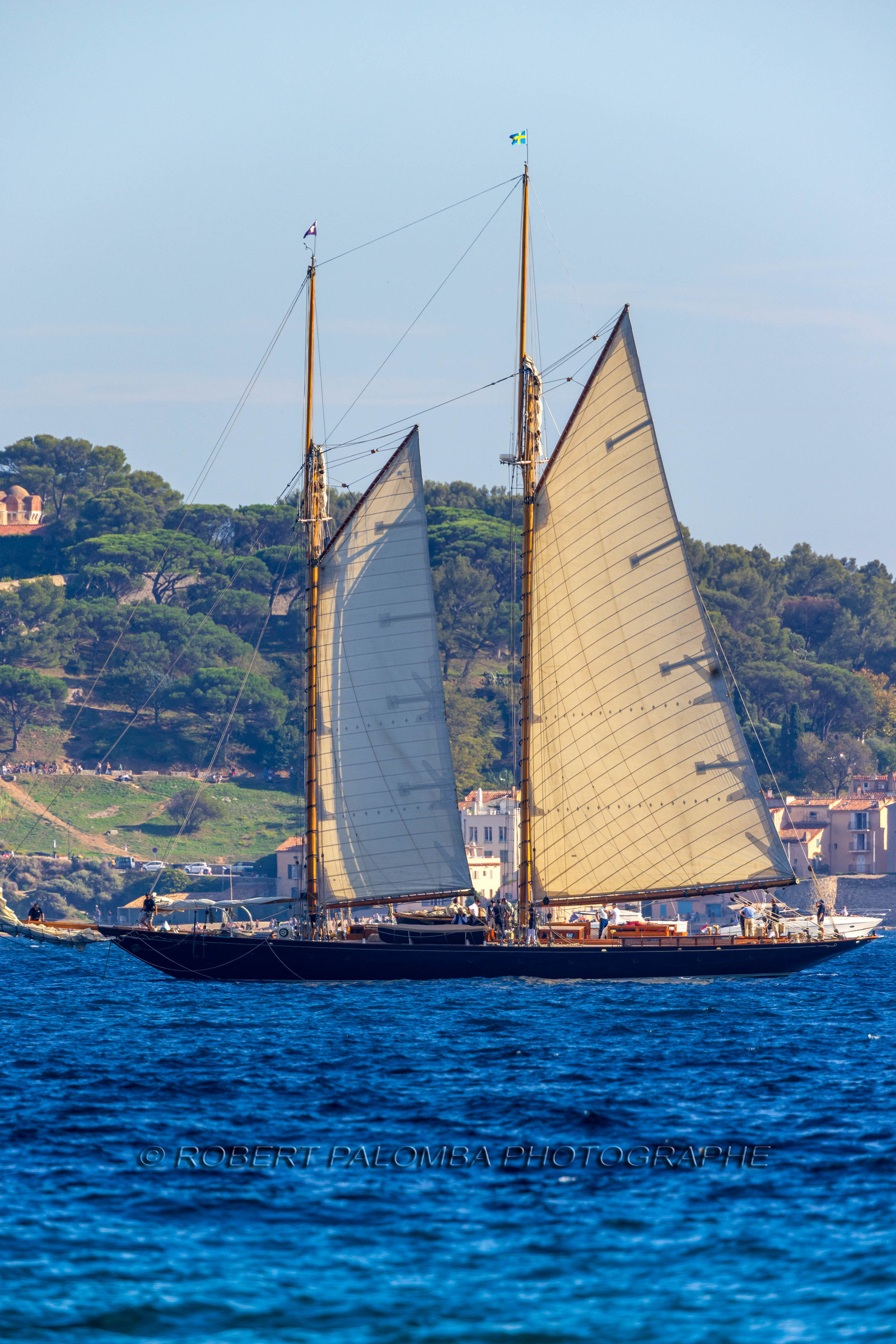 Les Voiles de Saint-Tropez