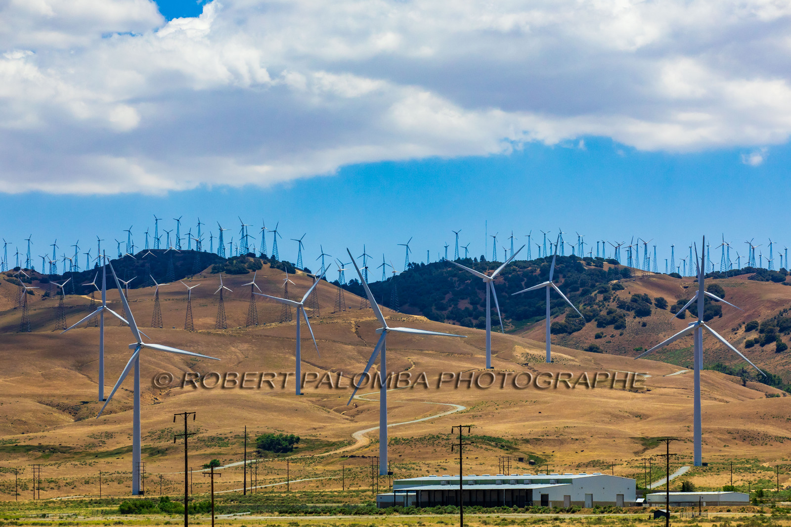 Champ d'Eoliennes