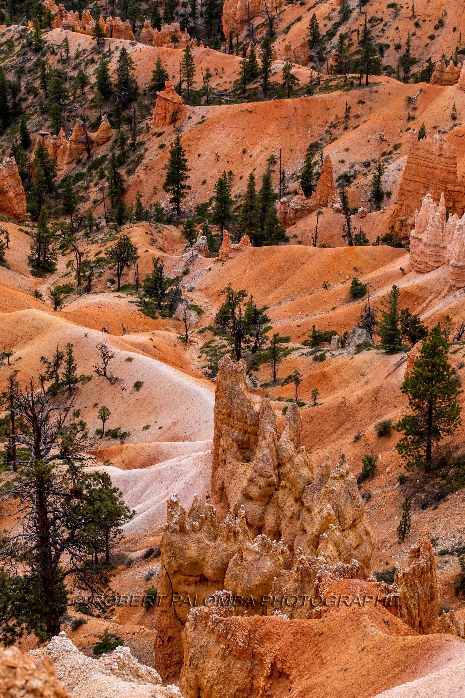 Bryce Canyon