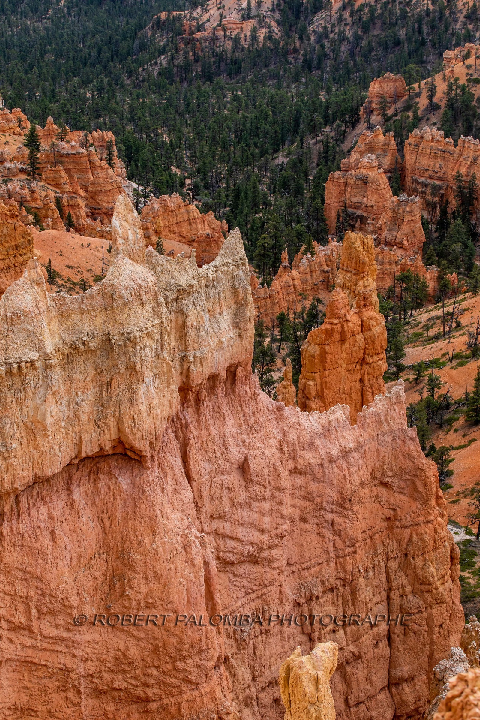 Bryce Canyon