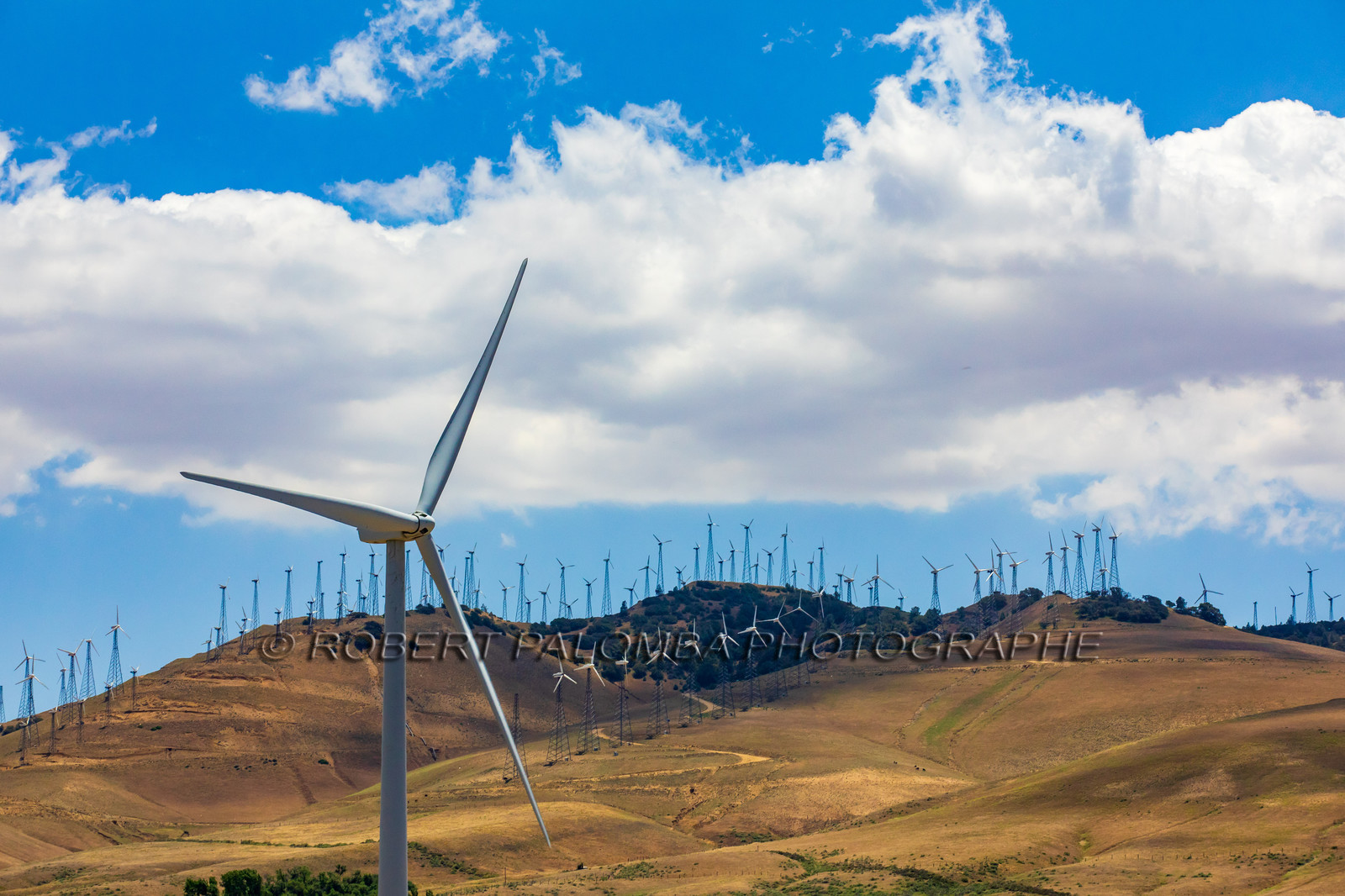 Champ d'Eoliennes