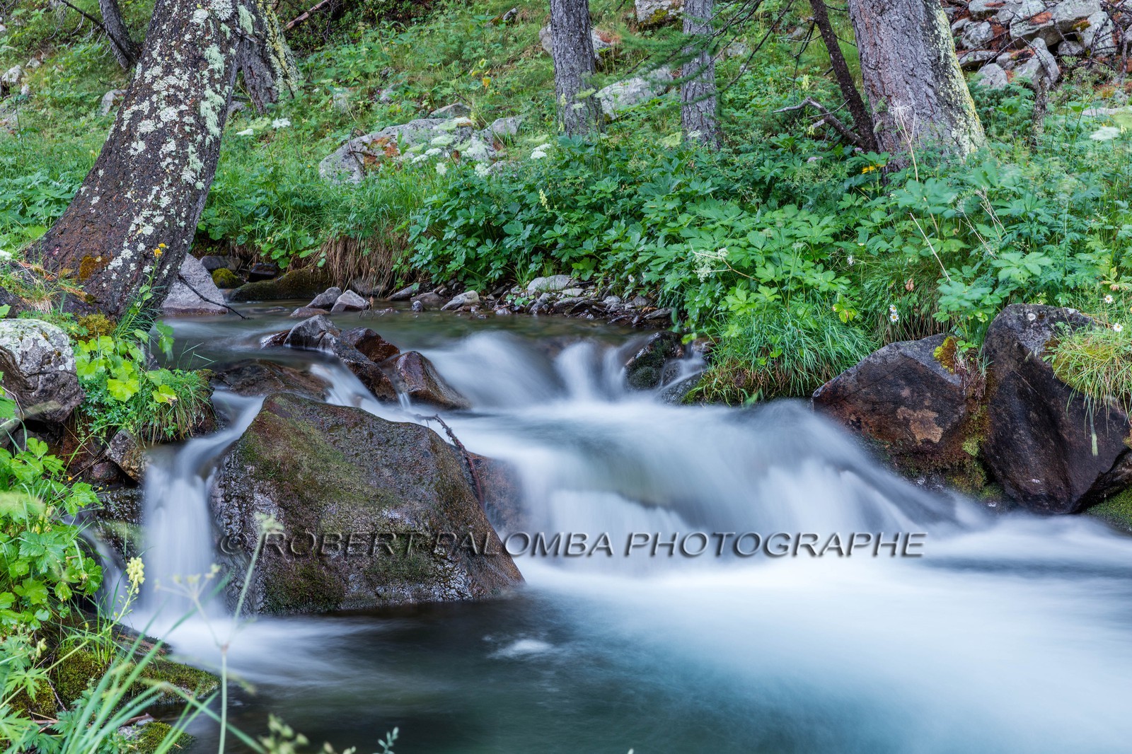 Lac d'Allos