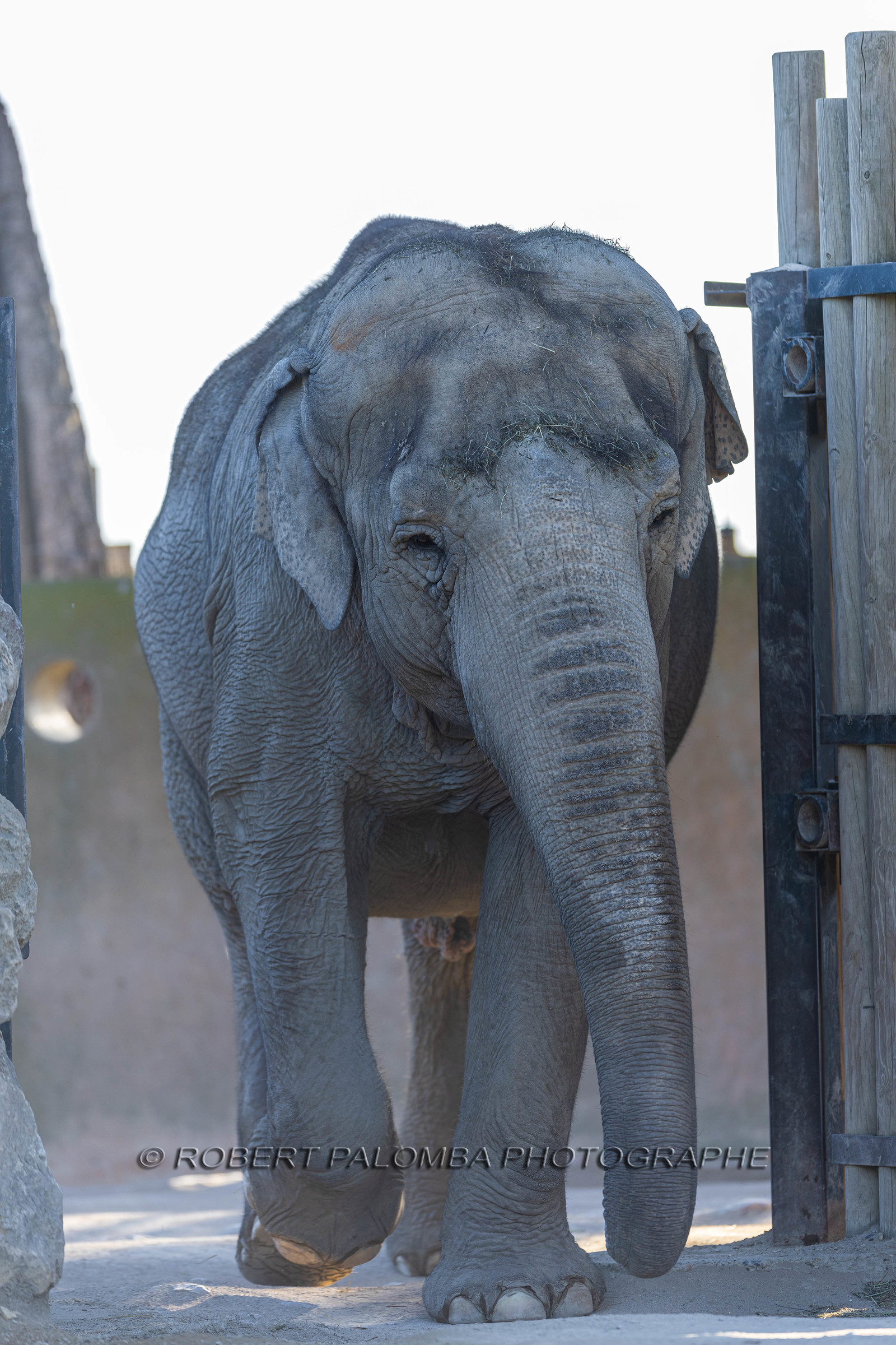 Parc animalier de la Barben