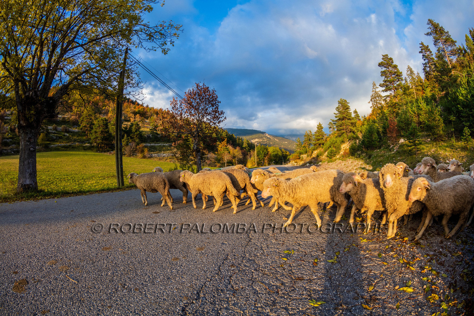La Colle Saint-Michel