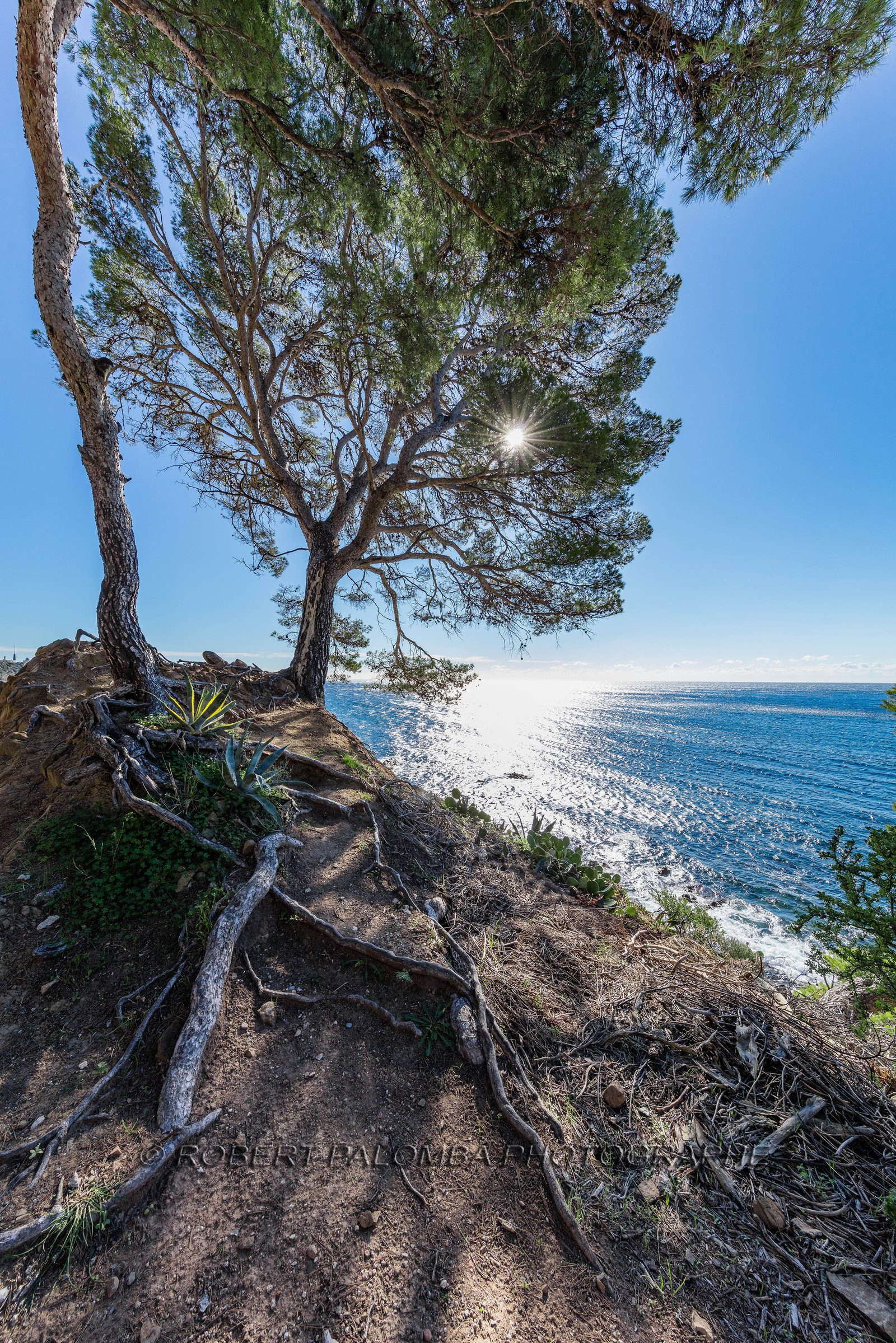 Saint-Mandrier-sur-Mer